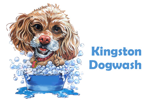 Kingston Dog Wash